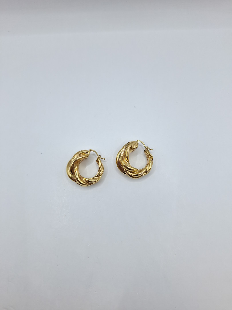 Un paio orecchini in oro