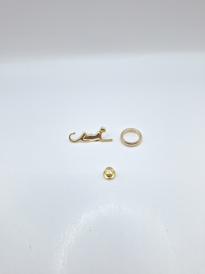 Anello e spilla oro