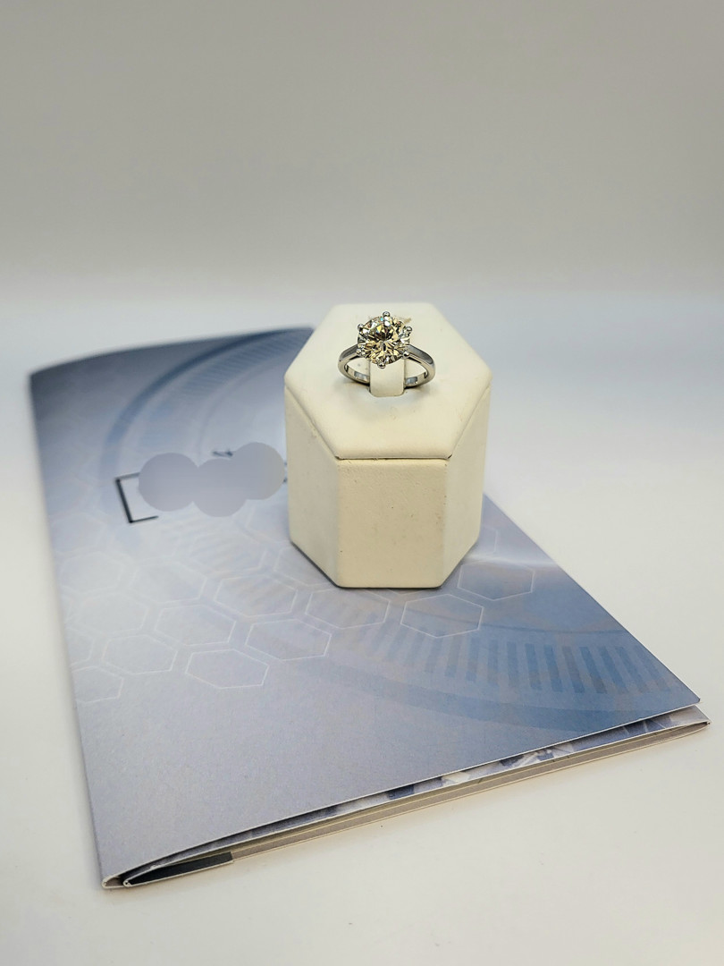 Roma - 17 febbraio 2026