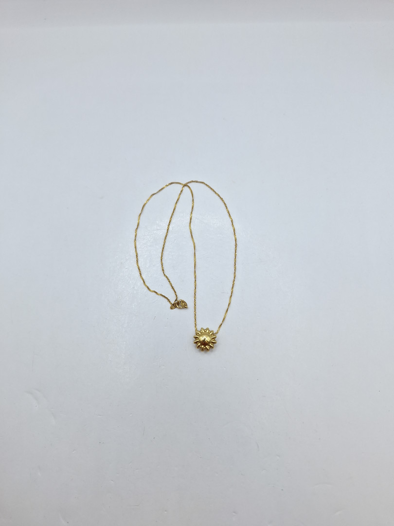 Catenina e ciondolo in oro 