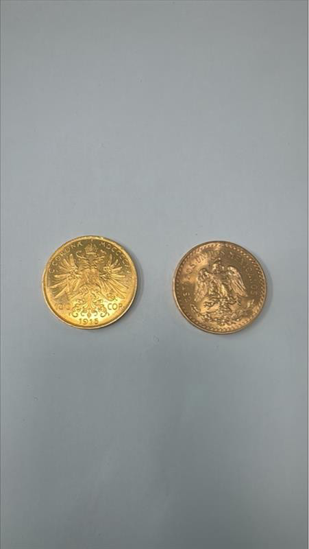 Due monete oro 