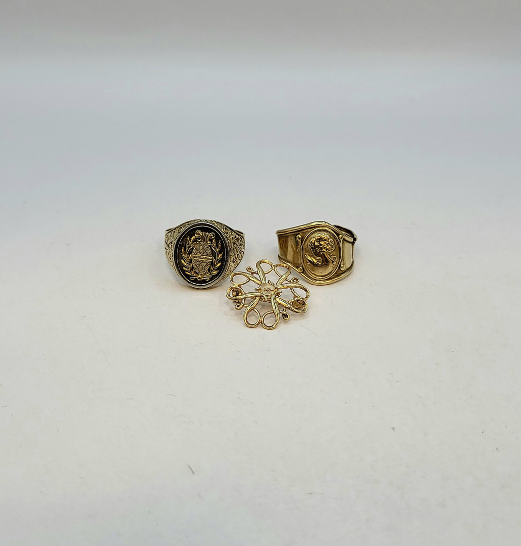 Due anelli e spilla oro