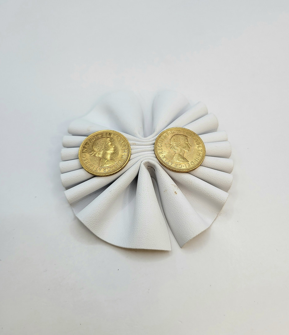 Due pezzi oro monetato