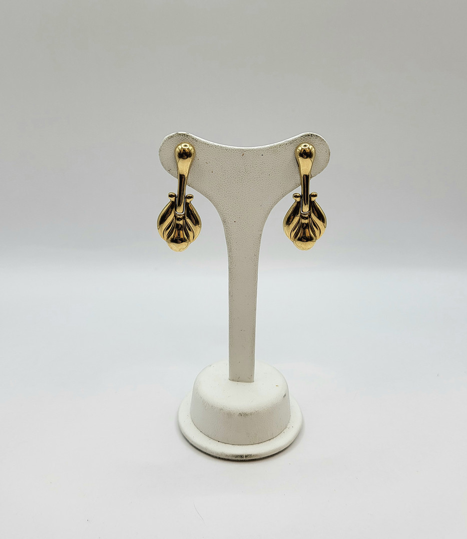 Un paio orecchini oro 