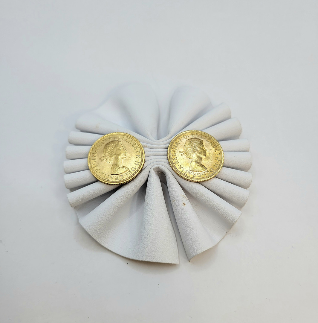 Due pezzi oro monetato