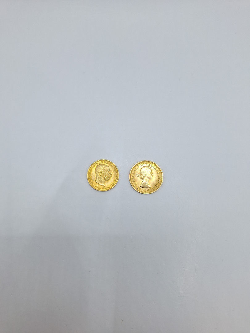 Sterlina e moneta in oro 