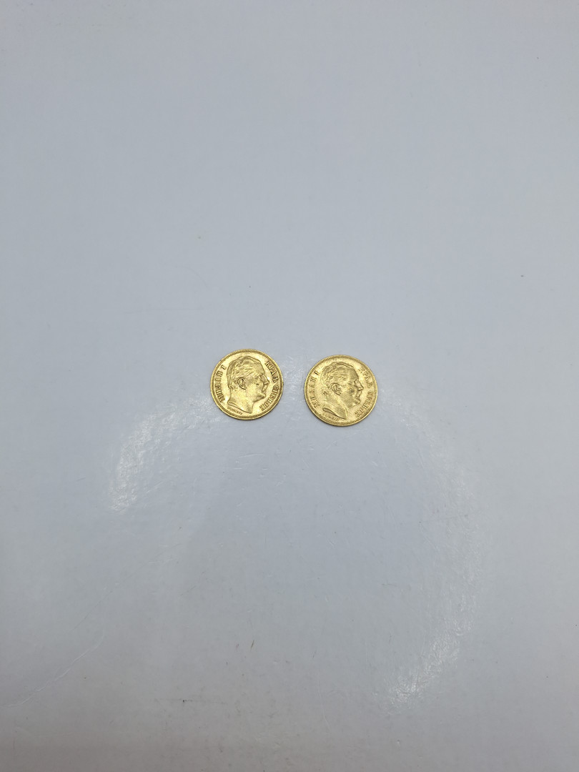 Due monete oro 